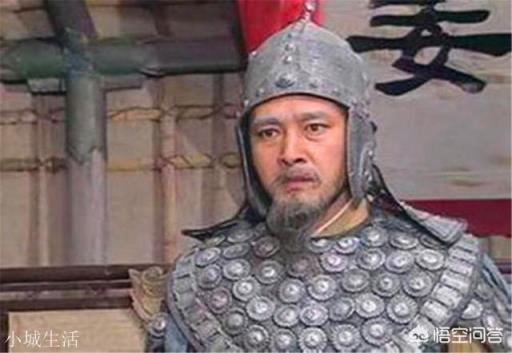 灭蜀之战，姜维一计害三贤，为何有人说司马昭才是最后的赢家？