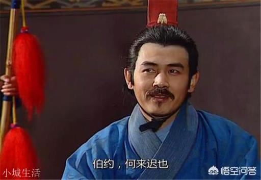 灭蜀之战，姜维一计害三贤，为何有人说司马昭才是最后的赢家？