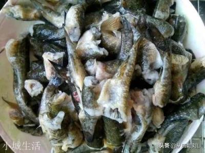 東北的老頭魚(yú)是一種什么魚(yú)？怎么做好吃？