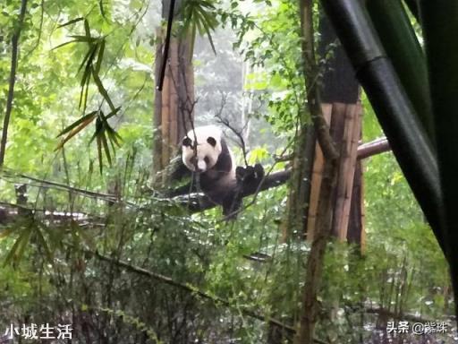 春節(jié)去哪里旅游？