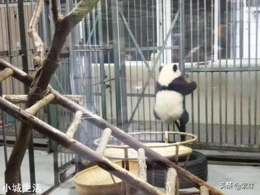 春節(jié)去哪里旅游？