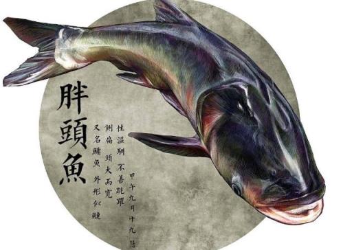 #查干湖冬捕#吉林查干湖冬捕鱼多少钱一斤？