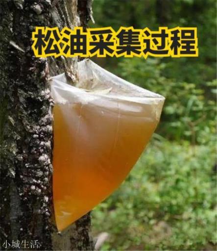 如果二戰期間，日本發現了大慶油田，還會去招惹美國嗎？