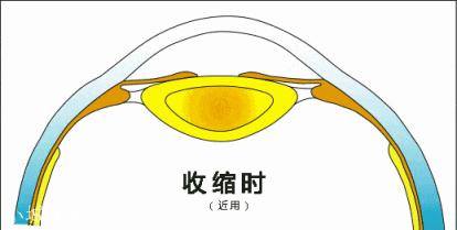 很多人在接吻的时候为什么要闭眼？