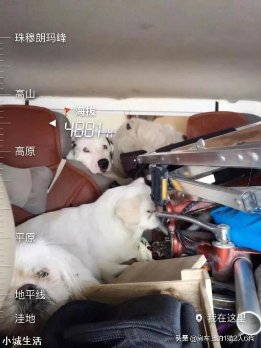 川藏线能跑盘山公路的房车有推荐吗?