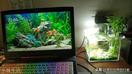 游戲本中，機械師、雷神、機械革命、神舟、華碩到底哪家更好呢？