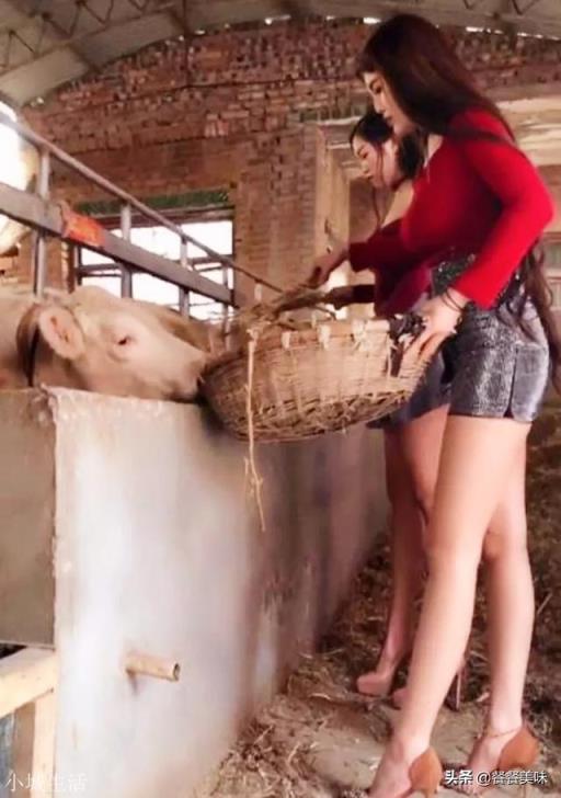 猪肉价格真的影响老百姓的生活,猪肉价格何时降到十几块钱一斤?