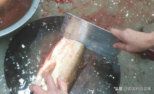 在農村集市買魚，說自己拿魚回家做，為什么有的魚販子就說不賣了？