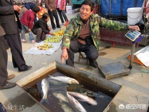在農村集市買魚，說自己拿魚回家做，為什么有的魚販子就說不賣了？