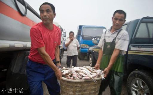 在農村集市買魚，說自己拿魚回家做，為什么有的魚販子就說不賣了？