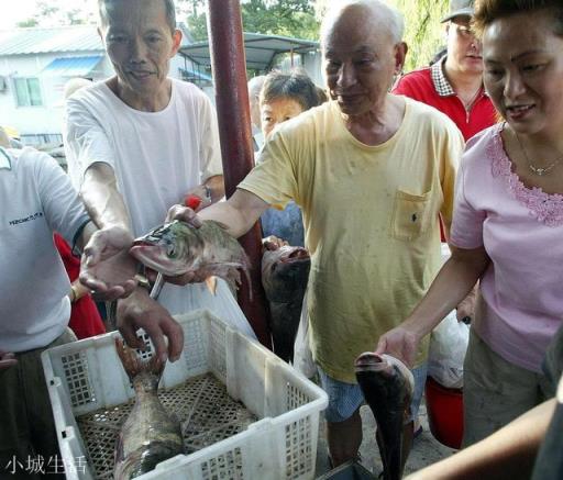 在農村集市買魚，說自己拿魚回家做，為什么有的魚販子就說不賣了？