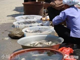 在農村集市買魚，說自己拿魚回家做，為什么有的魚販子就說不賣了？
