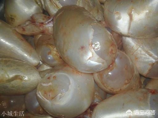 在農村集市買魚，說自己拿魚回家做，為什么有的魚販子就說不賣了？