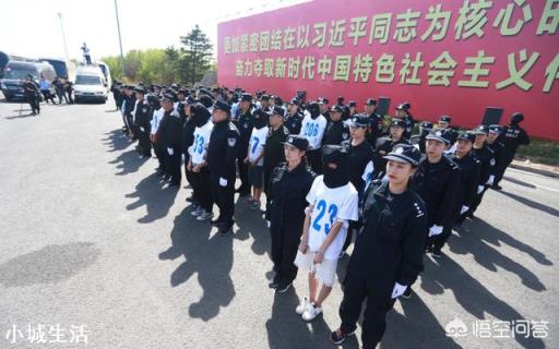 吉林特大网络电信诈骗案告破，162名嫌疑人从广东被押解回吉林，你怎么看？