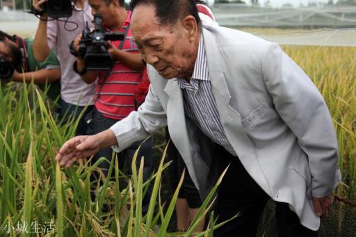 國士無雙的袁隆平，兒孫都是做什么的？是否子承父業？