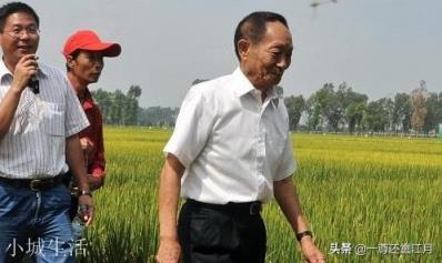 國士無雙的袁隆平，兒孫都是做什么的？是否子承父業？