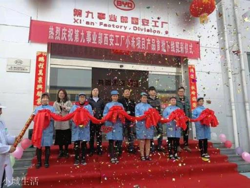 如果比亚迪研发7nm芯片和7nm光刻机，能取代富士康吗？