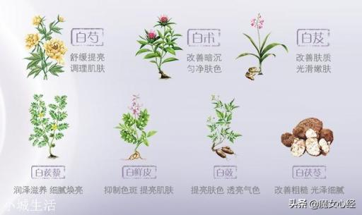 中國有什么高端的護膚品牌？