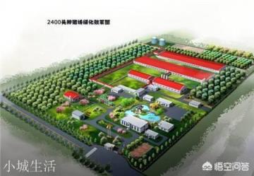 建一个五千头猪场要多少钱？
