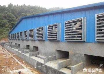 建一个五千头猪场要多少钱？