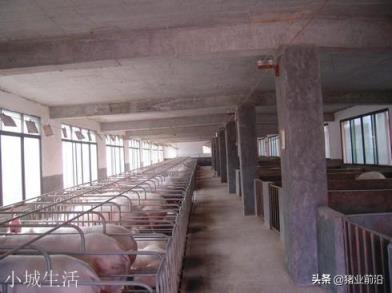 建一个五千头猪场要多少钱？