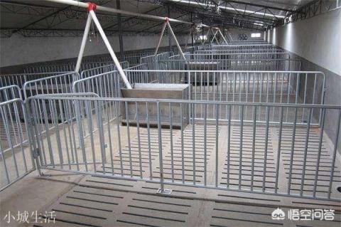 建一个五千头猪场要多少钱？