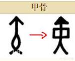天干地支里的「寅」和「申」有什么关系？