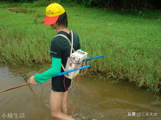 為什么現(xiàn)在農(nóng)村河里面的螃蟹越來(lái)越少了？