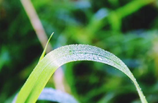 白露是怎么形成的？白露节气穿什么衣服好？
