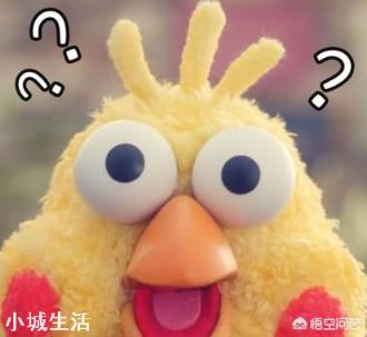 吉林市2名男子街头互骂,其中1人突然亲吻对方,你怎么看?