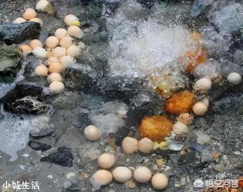 到了长白山旅游，哪些美食必吃？
