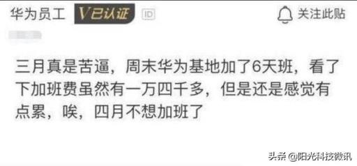 华为挖人是传统,但华为的人别人却挖不动,为什么呢?