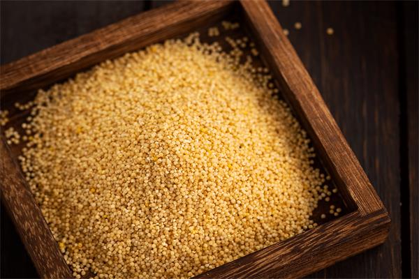哪些食物减肥又养胃？6种营养减肥的食物