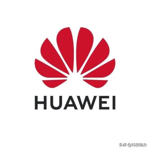 我想知道华为的出路在哪里？华为的成功率有多大？