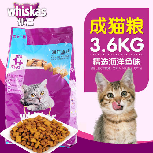 英短成猫吃什么猫粮好 蓝白幼猫吃什么猫粮好