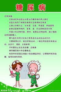 美短的饮食禁忌 十大新手最好养的猫
