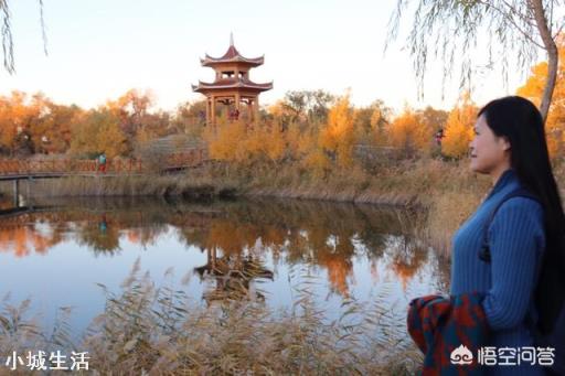 你喜欢什么样的旅游文章？