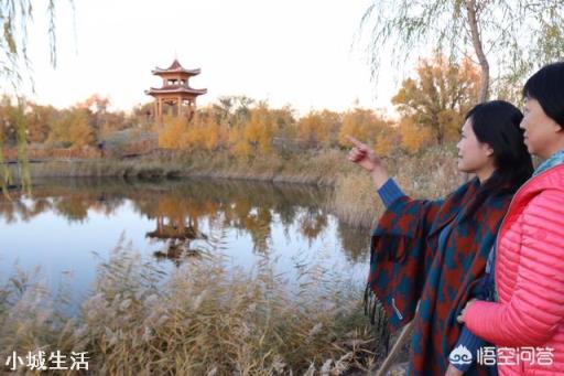 你喜欢什么样的旅游文章？