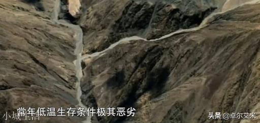 最近一次中印边境冲突，我们有战士牺牲吗？
