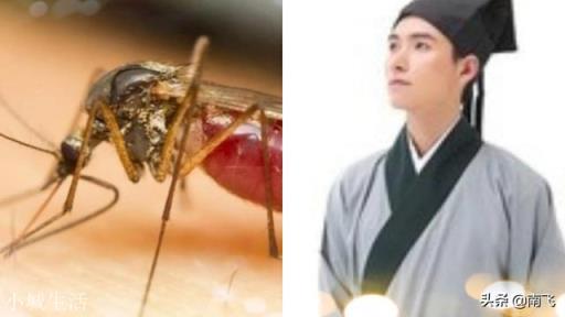 和尚，道士，儒生，三个人静坐时，有蚊子咬他们，分别有什么反应？