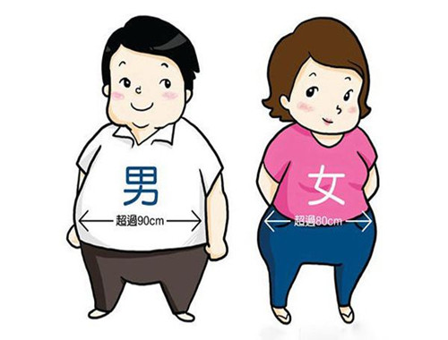 腰臀比是什么？