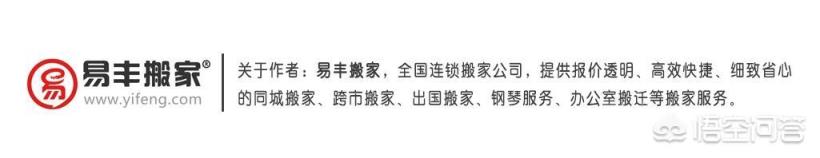 吊兰换盆时，需要注意哪些问题？