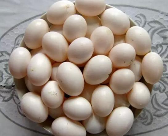 鸽子蛋煮出来是绿色的是怎么回事?鸽子蛋煮熟了是软的吗