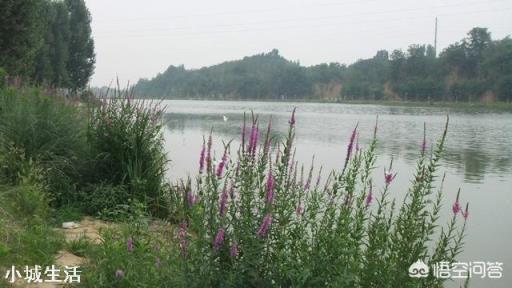 说说看，你自己的家乡有什么著名的旅游区吗？