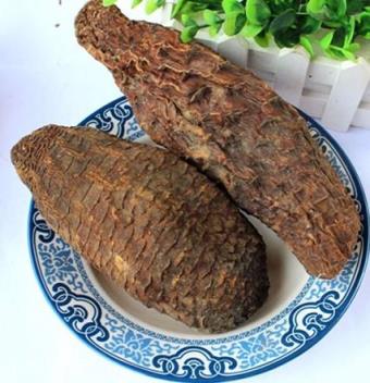 肉苁蓉怎么吃好？