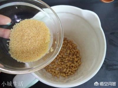 小米配什么打豆浆好喝?