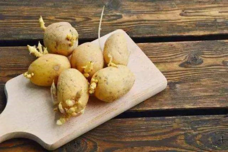 土豆粉和饭哪个热量高
