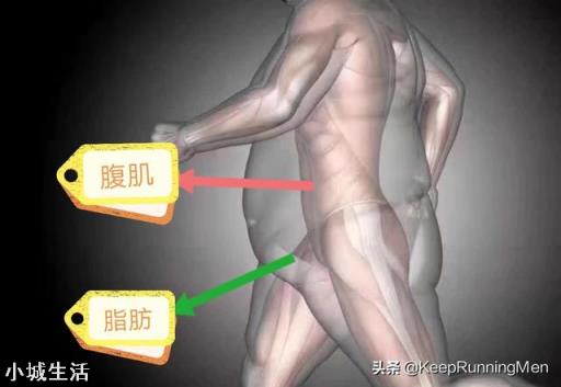 肚子肉多是不是更容易练成八块腹肌？