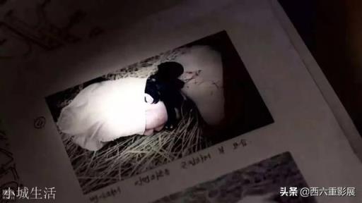 中国有没什么比较离奇的刑事案件？