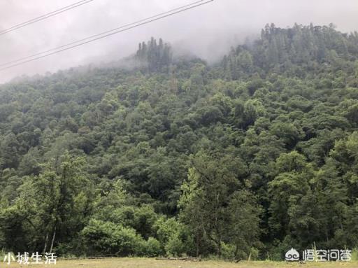 西藏旅游景点有哪些推荐？